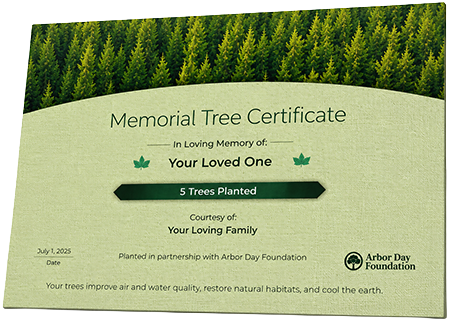 Plant Trees in Memory of Ms. Leonides Correa